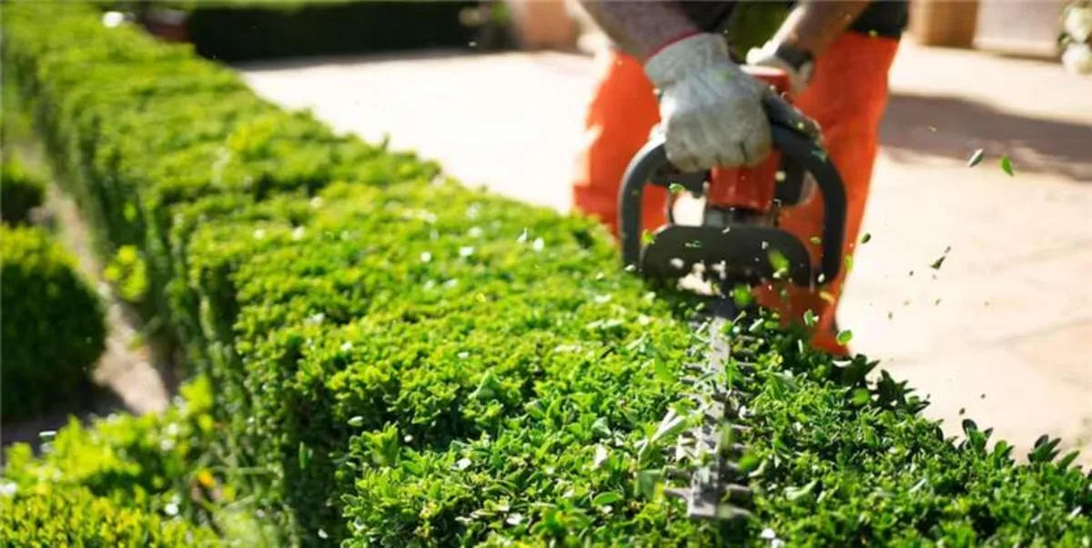 Maintain your garden